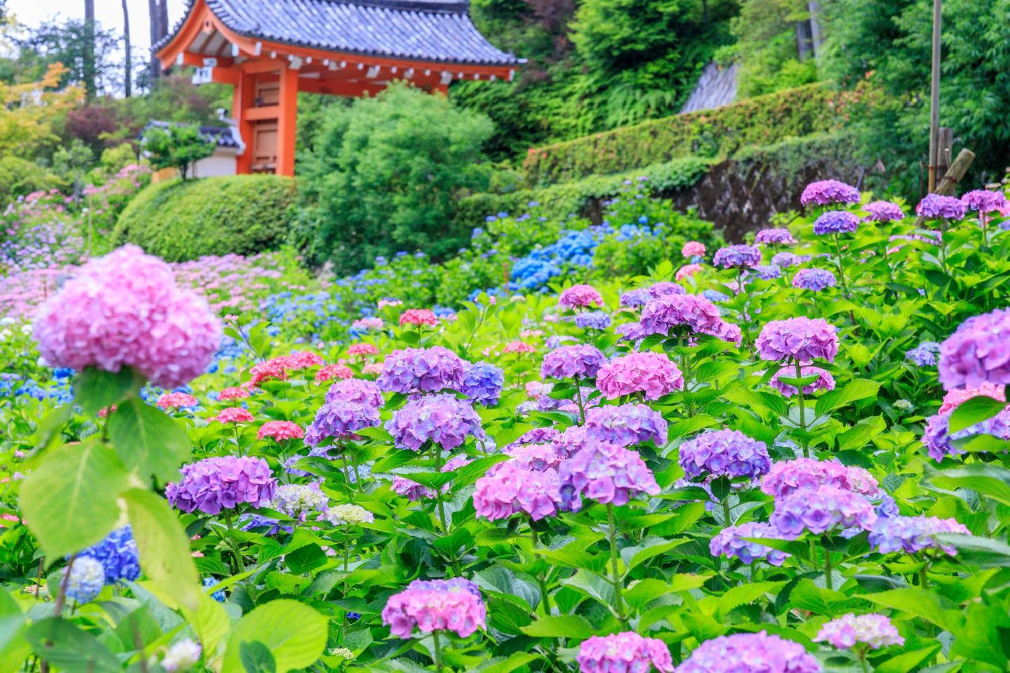 Mimaru Suites Kyoto Central Bagian luar foto